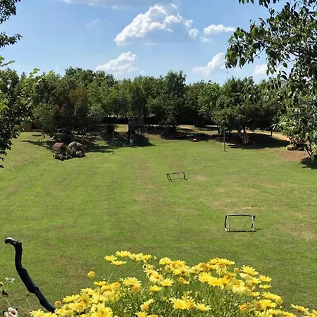 Beautiful Nar With Pool In Žminj